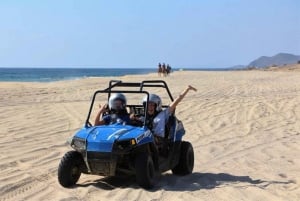 Excursión a la Playa y al Desierto en Cabo