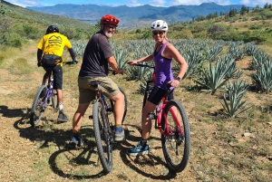 Paseo en bici por antiguos senderos locales: Monte Albán y Atzompa