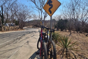 Paseo en bici por antiguos senderos locales: Monte Albán y Atzompa