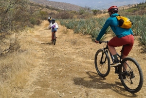 Bike ride though local ancient trails: Monte Alban & Atzompa