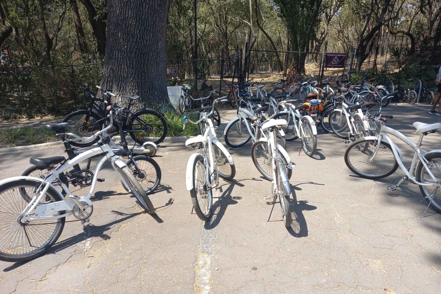 PASEO EN BICICLETA POR ICONICOS SITIOS DE LA CDMX / DESAYUNO Y CERVEZA