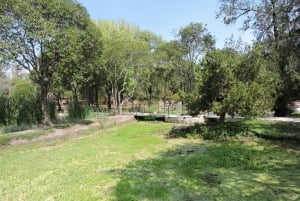 PASEO EN BICICLETA POR ICONICOS SITIOS DE LA CDMX / DESAYUNO Y CERVEZA