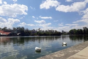 PASEO EN BICICLETA POR ICONICOS SITIOS DE LA CDMX / DESAYUNO Y CERVEZA