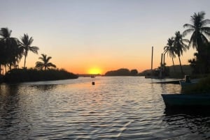 BIOLUMINISCENCIA EN PUERTO ESCONDIDO