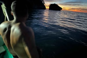 Bioluminescence in the Los Arcos Islands Nature Reserve