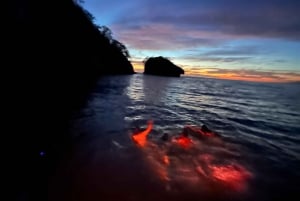 Bioluminescence in the Los Arcos Islands Nature Reserve