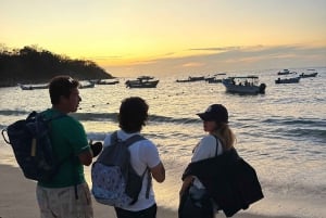 Bioluminescence in the Los Arcos Islands Nature Reserve