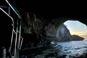 Bioluminescence in the Los Arcos Islands Nature Reserve