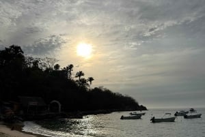 Bioluminescence in the Los Arcos Islands Nature Reserve