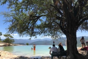 Mitla, Hierve el agua, Árbol del Tule, Tapetes, Destileria de mezcal tour