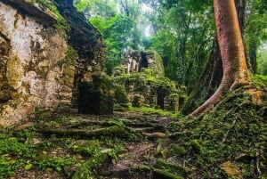 Yacimientos arqueológicos y selva de Bonampak y Yaxchilán