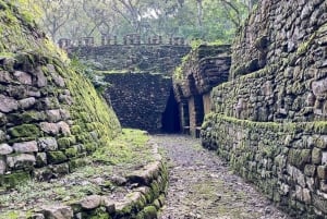 Yacimientos arqueológicos y selva de Bonampak y Yaxchilán