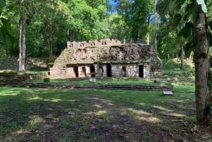 Yacimientos arqueológicos y selva de Bonampak y Yaxchilán