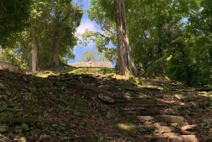 Yacimientos arqueológicos y selva de Bonampak y Yaxchilán