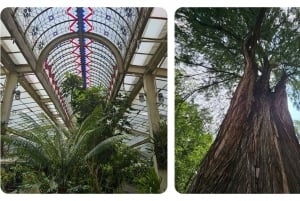 Bosque de Chapultepec Mystical Guided Tour