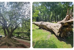 Visita guiada mística al Bosque de Chapultepec