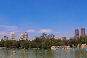 Mexico City: Historic Center, Coyoacan, Chapultepec Bus Tour