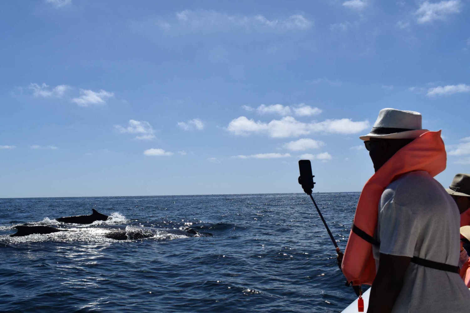 Cabo: 2-Hour Whale Watching Boat Ride with Free Pictures