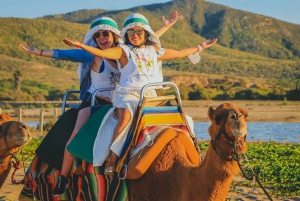 Cabo: ATV and Camel Combo Adventure Tour