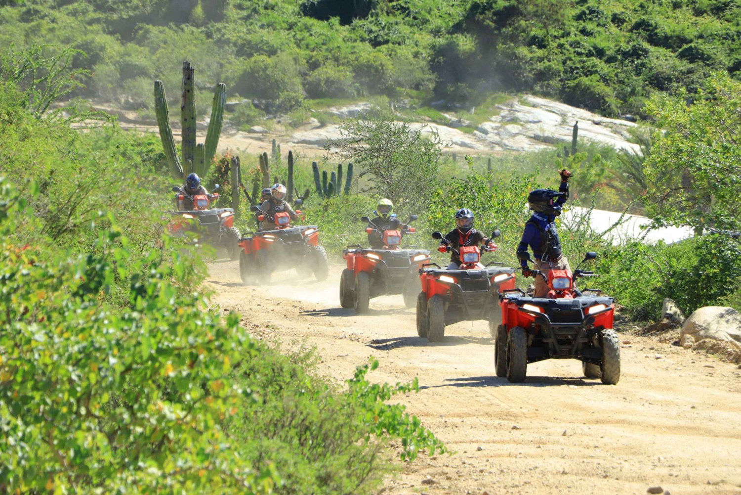 Cabo: ATV, Camel Ride and Eco-Farm Combo