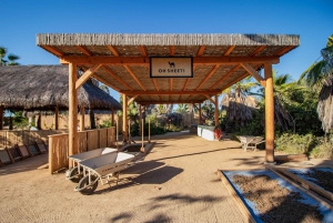 Cabo: ATV, Camel Ride, Mexican Lunch, and Tequila Combo Tour