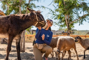 Cabo: ATV, Camel Ride, Mexican Lunch, and Tequila Combo Tour