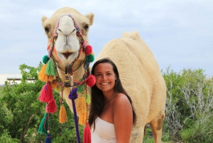 Cabo: ATV, Camel Ride, Mexican Lunch, and Tequila Combo Tour