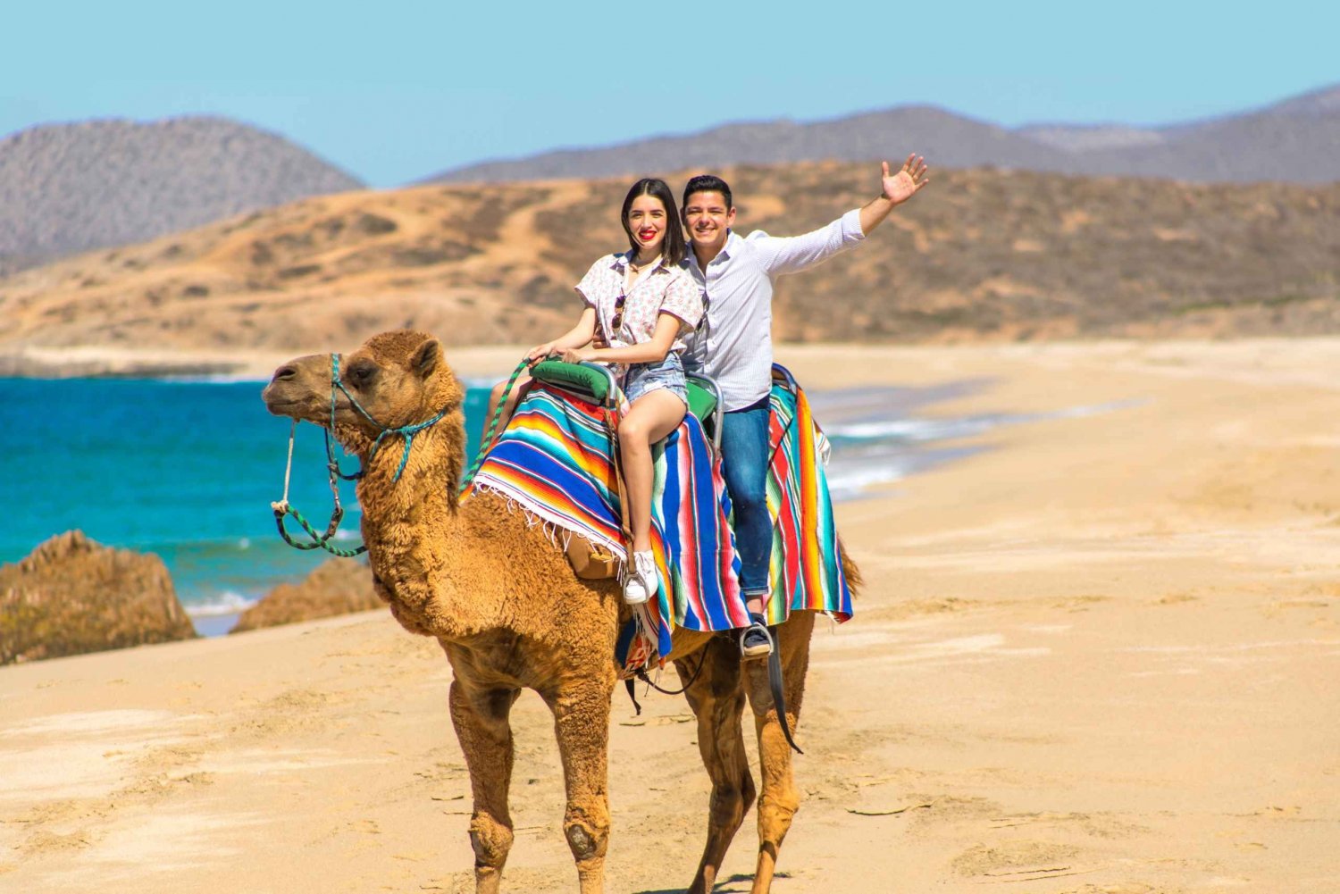 Cabo Beach: Desert Camel Tour with Mega Burrito & Tequila
