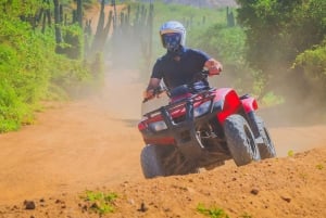 Cabo: Beach & Desert Single ATV Tour with Tequila Tasting