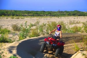 Cabo: Beach & Desert Single ATV Tour with Tequila Tasting