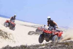 Cabo: Beach & Desert Single ATV Tour with Tequila Tasting