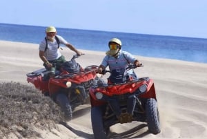 Cabo: Beach & Desert Single ATV Tour with Tequila Tasting