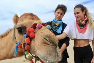 Camel Safari Adventure with Tacos