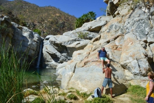 Cabo: Fox Canyon Private Hiking Tour