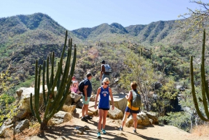 Cabo: Fox Canyon Private Hiking Tour