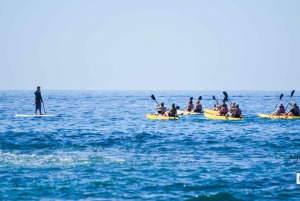 Cabo: Half-Day Kayak & Snorkel to Santa Maria & Chileno Bay