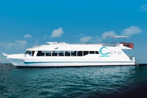 Cabo: Luxury Sunset Cruise with Dinner, Music & Open Bar