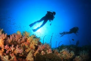 Cabo Pulmo Marine Park: Scuba Diving Excursion