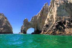 Cabo’s 1-Hour Glass-Bottom Boat: Arch & Stunning Wildlife