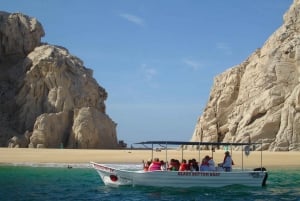 Cabo’s 1-Hour Glass-Bottom Boat: Arch & Stunning Wildlife