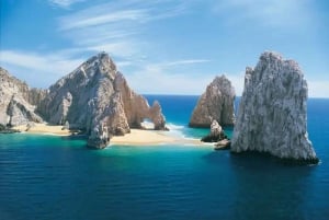 Cabo’s 1-Hour Glass-Bottom Boat: Arch & Stunning Wildlife