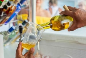 Cabo San Lucas: Crucero de 2 horas al atardecer con comida y vino