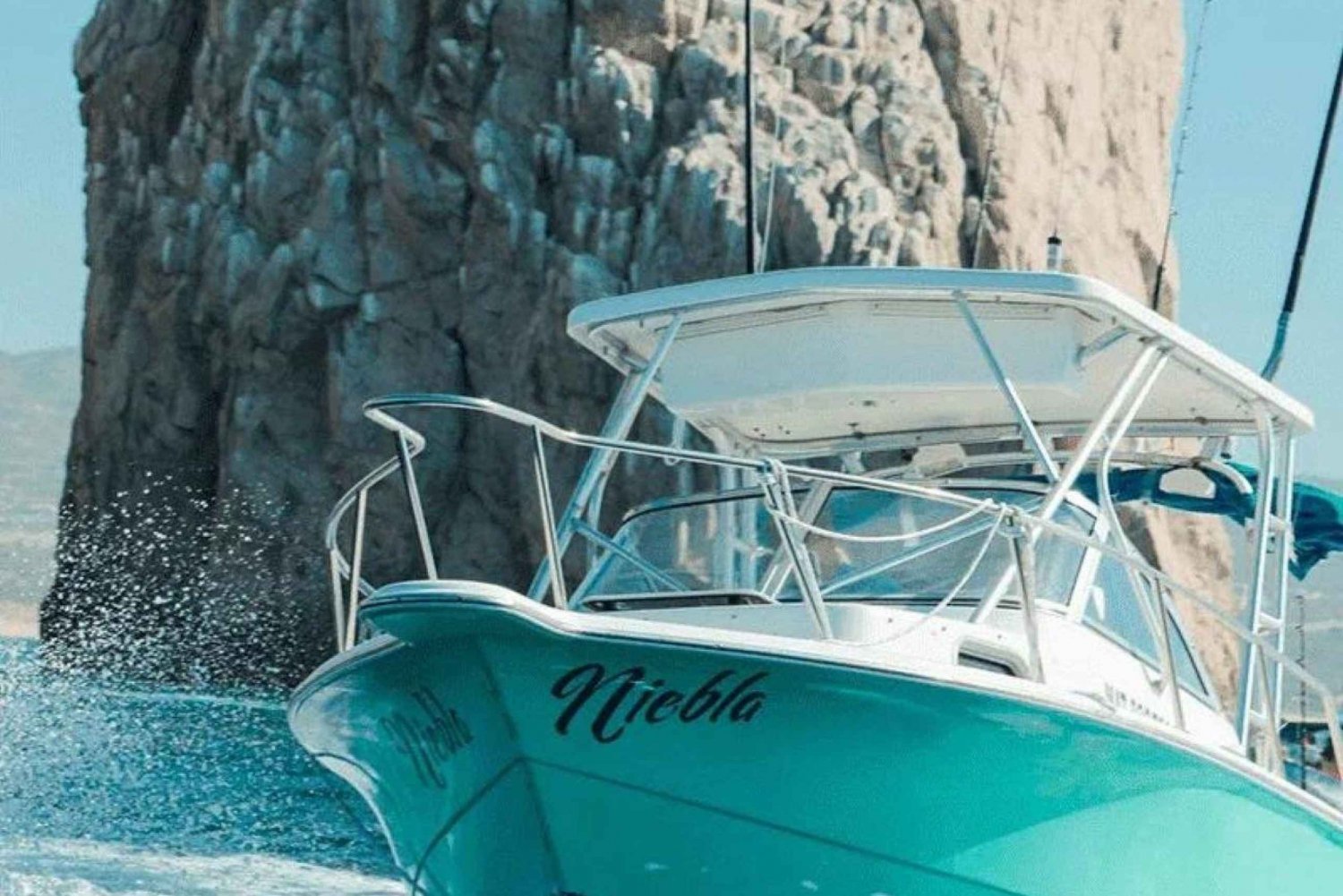 Cabo San Lucas: 26' Sea Pro 'Niebla' Fishing Charter