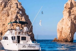 Cabo San Lucas: 33' Bertram 'La Paloma' Charter de Pesca