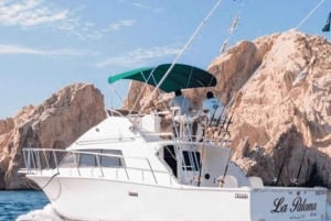 Cabo San Lucas: 33' Bertram 'La Paloma' Charter de Pesca