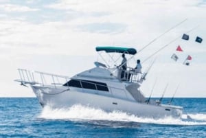 Cabo San Lucas: 33' Bertram 'La Paloma' Charter de Pesca