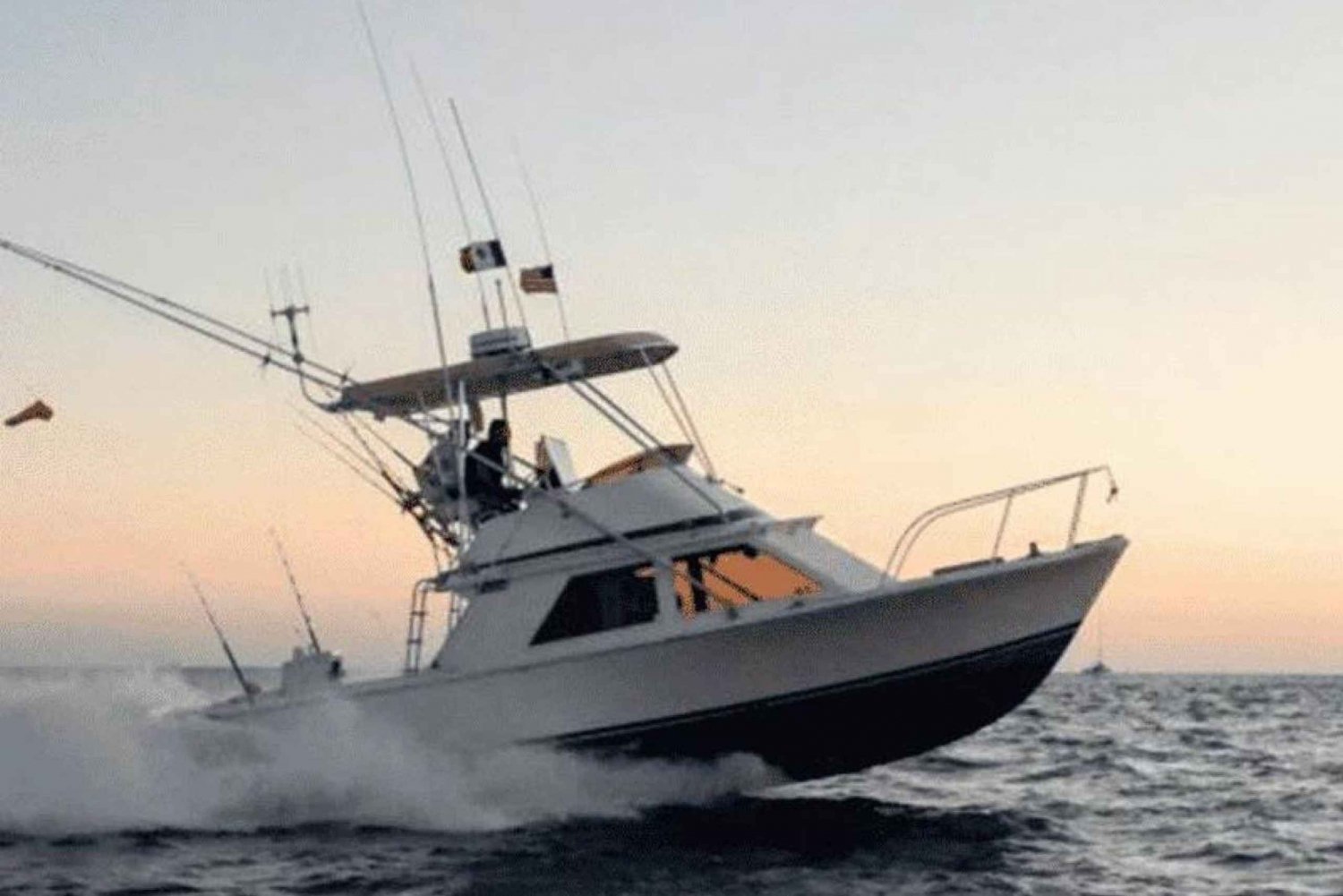 Cabo San Lucas: 33' Aleta Negra '¡Wahoo!' Charter de Pesca