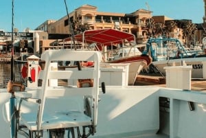 Cabo San Lucas: 38' Striker 'Reel Medicine' Charter de Pesca