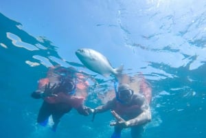 Cabo San Lucas Arch and Snorkeling, Playa Pelicano, Playa del Amor