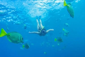 Cabo San Lucas Arch and Snorkeling, Playa Pelicano, Playa del Amor